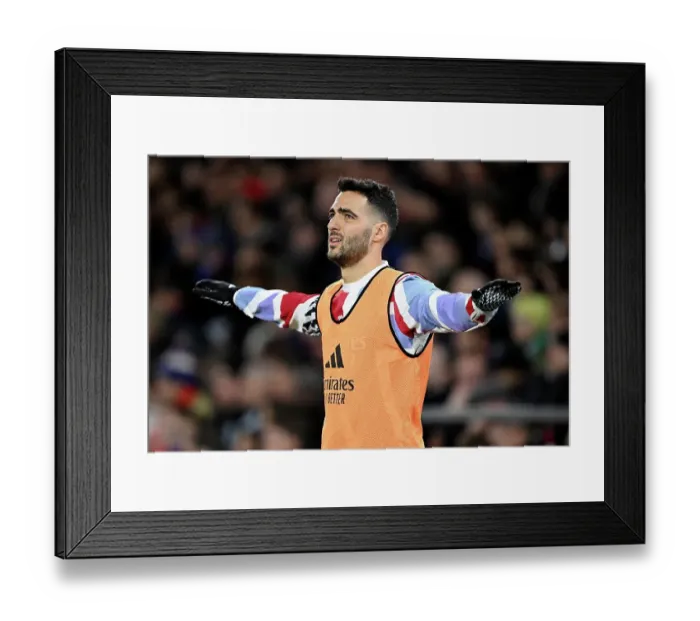 Framed Print : Crystal Palace FC v Arsenal FC - Premier League Framed Print : Crystal Palace FC v Arsenal FC - Premier League