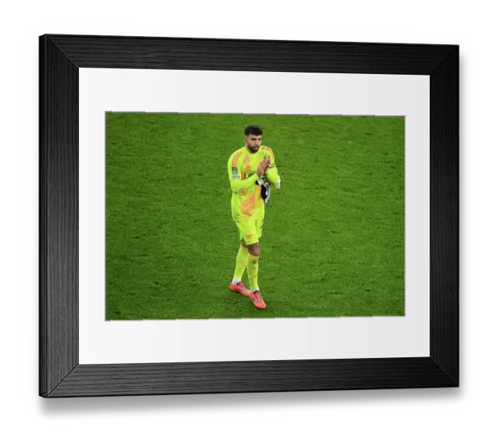 Framed Print : Arsenal v Newcastle United - Carabao Cup Semi Final First Leg Framed Print : Arsenal v Newcastle United - Carabao Cup Semi Final First Leg