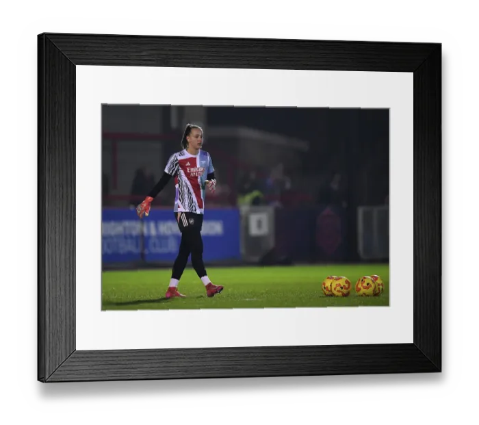 Framed Print : Brighton & Hove Albion v Arsenal - Subway Women's League Cup Brighton & Hove Albion v Arsenal - Subway Women's League Cup