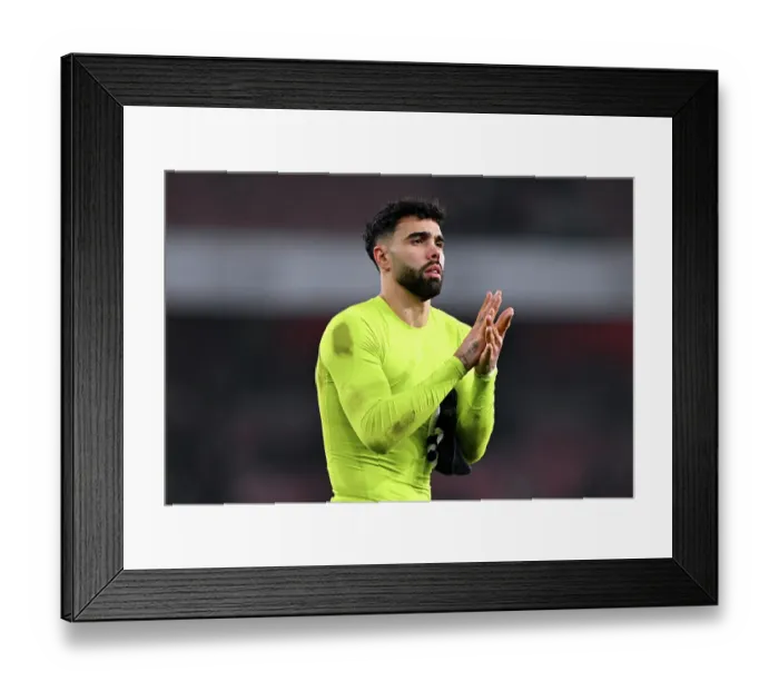 Framed Print : Arsenal FC v Aston Villa FC - Premier League Framed Print : Arsenal FC v Aston Villa FC - Premier League