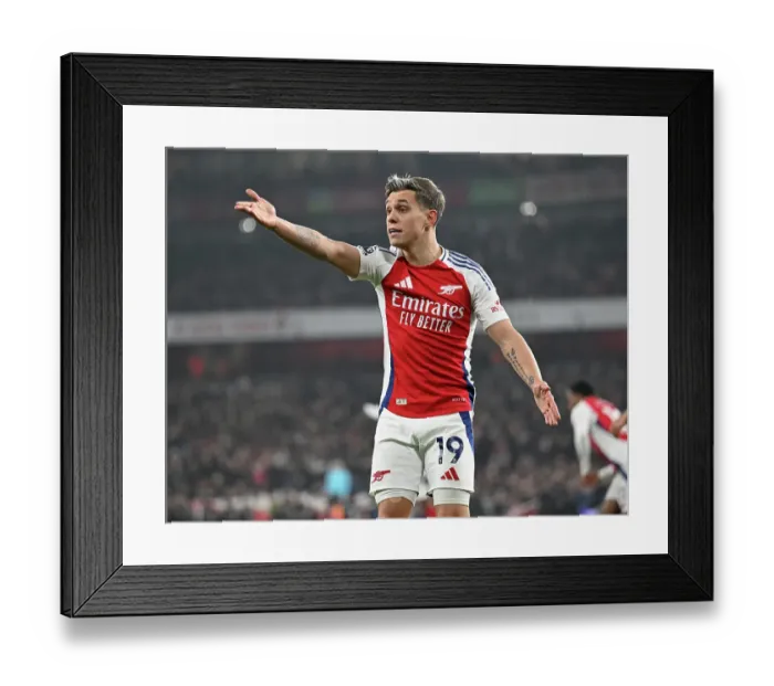 Framed Print : Arsenal FC v Aston Villa FC - Premier League Framed Print : Arsenal FC v Aston Villa FC - Premier League