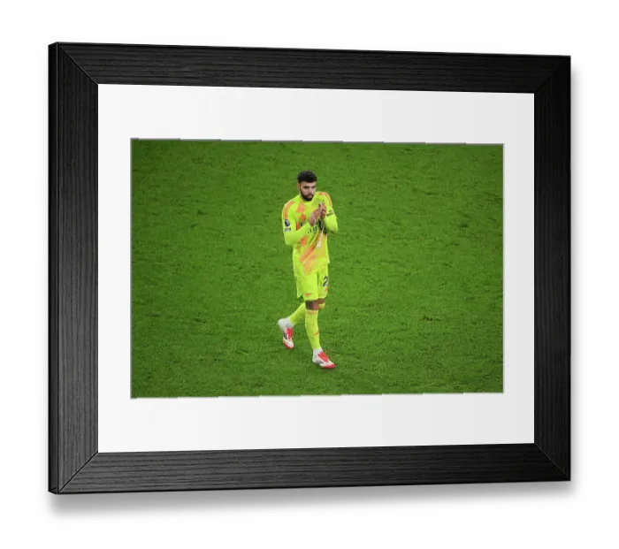 Framed Print : Arsenal FC v Tottenham Hotspur FC - Premier League Framed Print : Arsenal FC v Tottenham Hotspur FC - Premier League