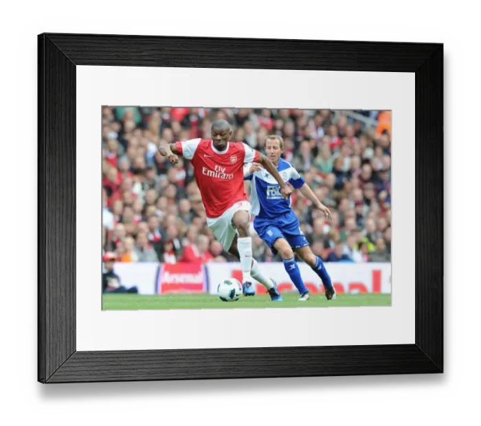 Framed Print : Abou Diaby (Arsenal) Lee Bowyer (Birmingham). Arsenal 2: 1 Birmingham City Framed Print : Abou Diaby (Arsenal) Lee Bowyer (Birmingham). Arsenal 2: 1 Birmingham City