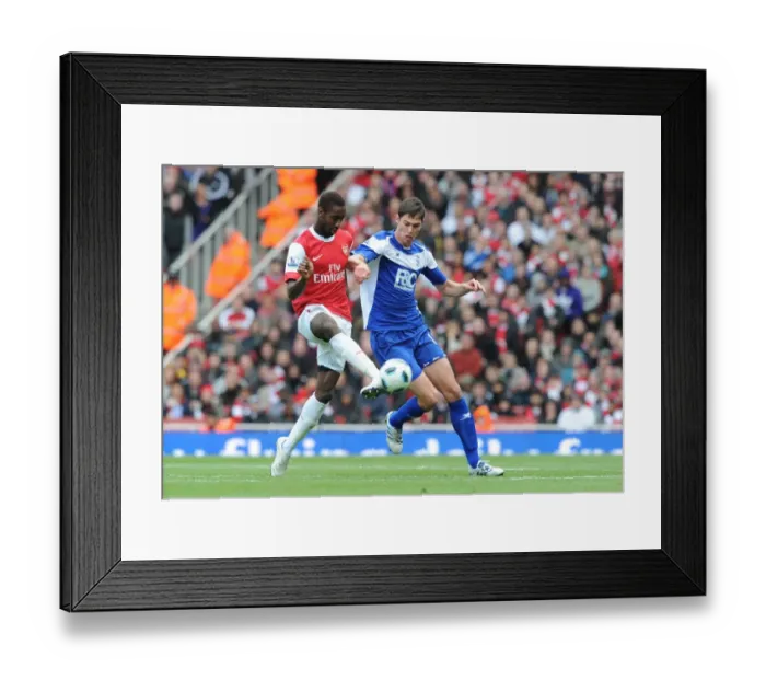 Framed Print : Johan Djourou (Arsenal) Nikola Zigic (Birmingham). Arsenal 2: 1 Birmingham City