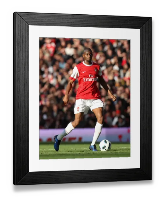 Framed Print : Abou Diaby's Game-Winning Goal: Arsenal 2-1 Birmingham City, October 16, 2010 Framed Print : Abou Diaby's Game-Winning Goal: Arsenal 2-1 Birmingham City, October 16, 2010