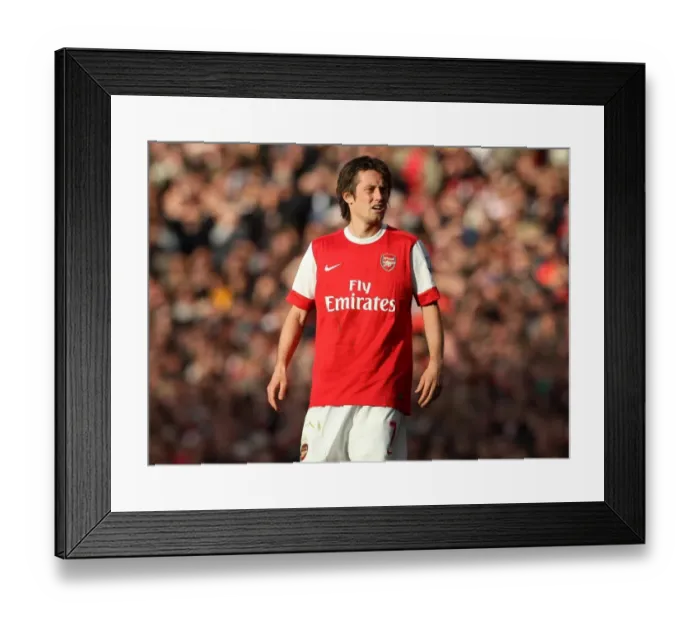 Framed Print : Tomas Rosicky's Brilliant Goal: Arsenal's 2-1 Win Over Birmingham City in the Barclays Premier League (16 / 10 / 10) Framed Print : Tomas Rosicky's Brilliant Goal: Arsenal's 2-1 Win Over Birmingham City in the Barclays Premier League (16 / 10 / 10)