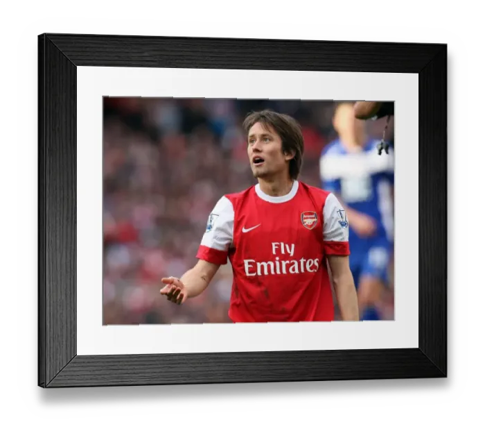 Framed Print : Tomas Rosicky's Brilliant Goal: Arsenal's 2-1 Victory Over Birmingham City in the Barclays Premier League