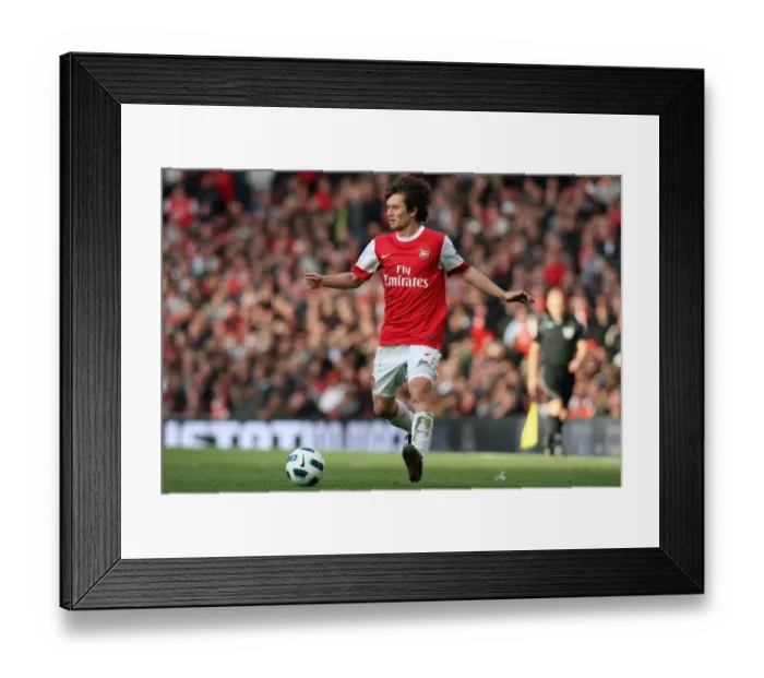 Framed Print : Tomas Rosicky's Brilliant Performance: Arsenal's 2-1 Victory Over Birmingham City in the Barclays Premier League (16 / 10 / 10)