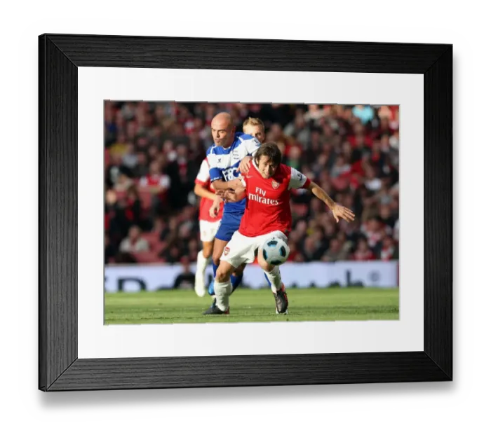 Framed Print : Rosicky vs Carr: Arsenal's Victory over Birmingham (2:1), Barclays Premier League, Emirates Stadium, October 16, 2010