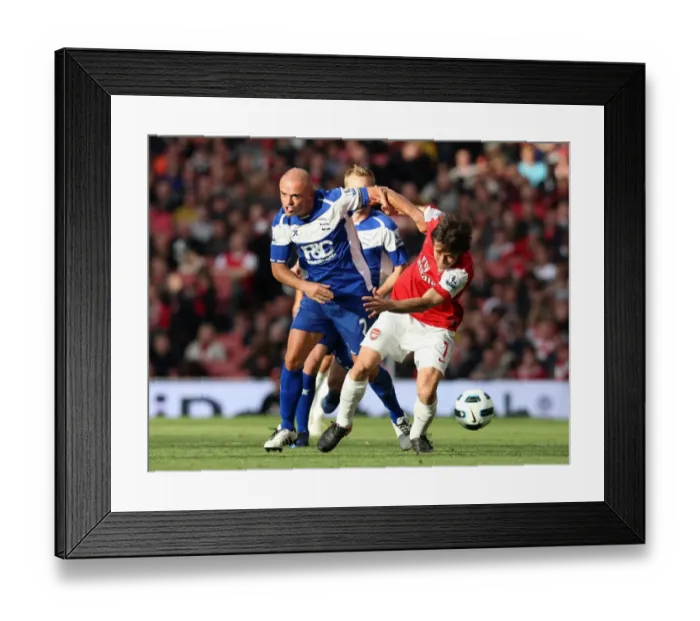 Framed Print : Rosicky vs Carr: Arsenal's Victory Over Birmingham City (2:1), Barclays Premier League, Emirates Stadium, October 16, 2010 Framed Print : Rosicky vs Carr: Arsenal's Victory Over Birmingham City (2:1), Barclays Premier League, Emirates Stadium, October 16, 2010
