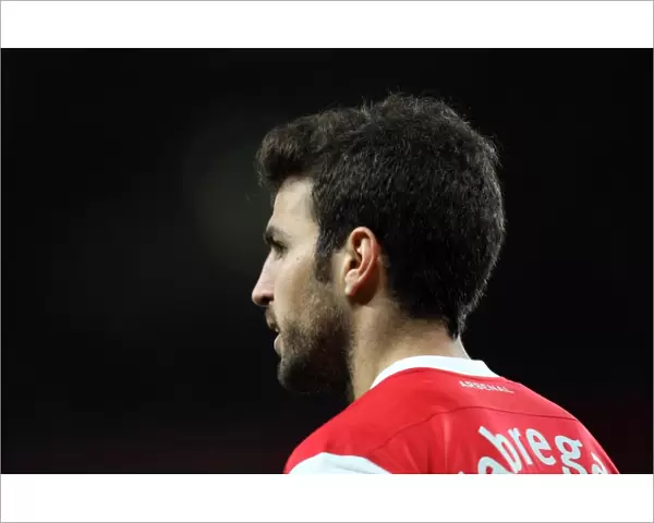 Cesc Fabregas (Arsenal). Arsenal 5: 1 Shaktar Donetsk. UEFA Champions League