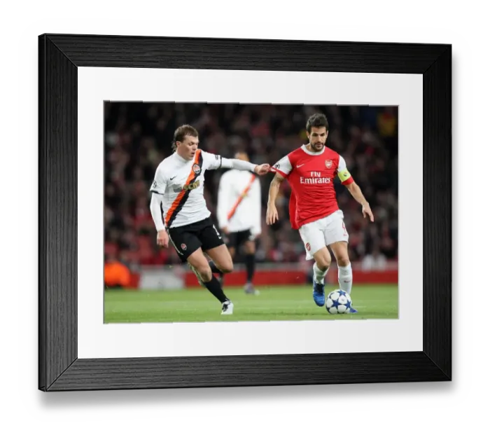 Framed Print : Cesc Fabregas (Arsenal) Olexiy Gai (Shaktar). Arsenal 5: 1 Shaktar Donetsk Framed Print : Cesc Fabregas (Arsenal) Olexiy Gai (Shaktar). Arsenal 5: 1 Shaktar Donetsk