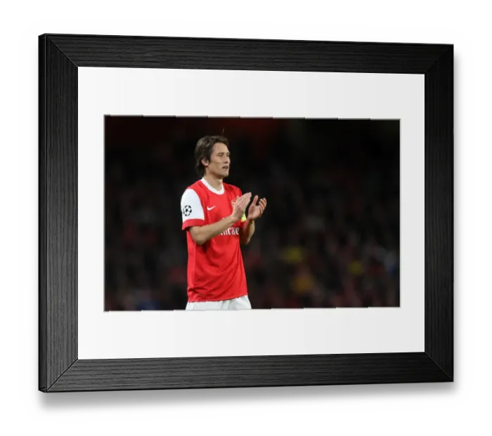 Framed Print : Arsenal's Tomas Rosicky Shines in 5-1 UEFA Champions League Victory over Shaktar Donetsk Framed Print : Arsenal's Tomas Rosicky Shines in 5-1 UEFA Champions League Victory over Shaktar Donetsk