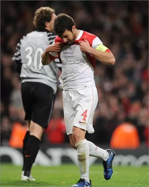 Cesc Fabregas celebrates scoring the 3rd Arsenal goal. Arsenal 5: 1 Shakhtar Donetsk