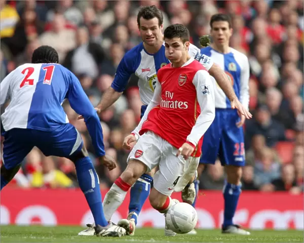 Cesc Fabregas (Arsenal) Ryan Nelson (Blackburn)