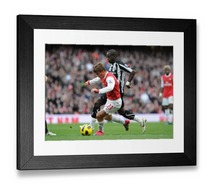 Framed Print : Andrey Arshavin (Arsenal) Cheik Tiote (Newcastle). Arsenal 0: 1 Newcastle United