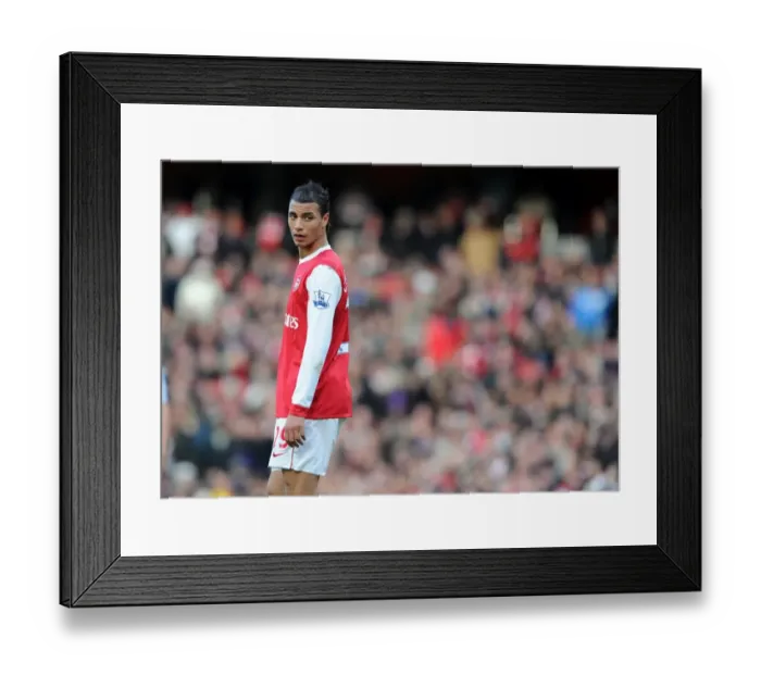 Framed Print : Marouane Chamakh's Goal Gives Newcastle United 1-0 Victory Over Arsenal, Barclays Premier League Framed Print : Marouane Chamakh's Goal Gives Newcastle United 1-0 Victory Over Arsenal, Barclays Premier League