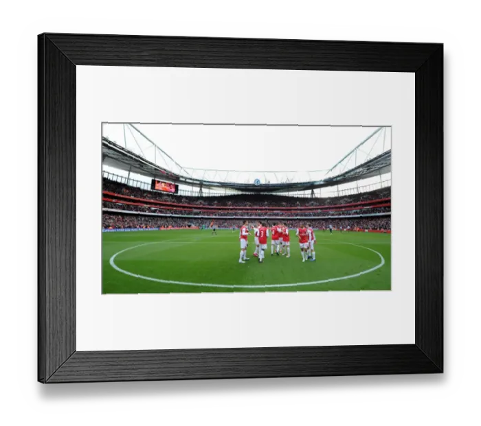 Framed Print : Emirates Stadium. Arsenal 0: 1 Newcastle United, Barclays Premier League