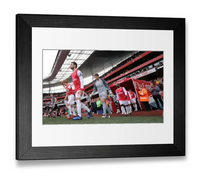 Framed Print : Cesc Fabregas Heartbreaking Goal: Arsenal 0-1 Newcastle United, Premier League 2010 Framed Print : Cesc Fabregas Heartbreaking Goal: Arsenal 0-1 Newcastle United, Premier League 2010