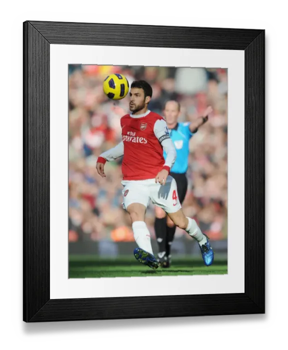 Framed Print : Cesc Fabregas (Arsenal). Arsenal 0: 1 Newcastle United, Barclays Premier League Framed Print : Cesc Fabregas (Arsenal). Arsenal 0: 1 Newcastle United, Barclays Premier League