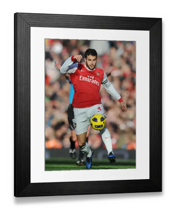 Framed Print : Cesc Fabregas Scores Against Arsenal: Newcastle United's 1-0 Win in the Barclays Premier League
