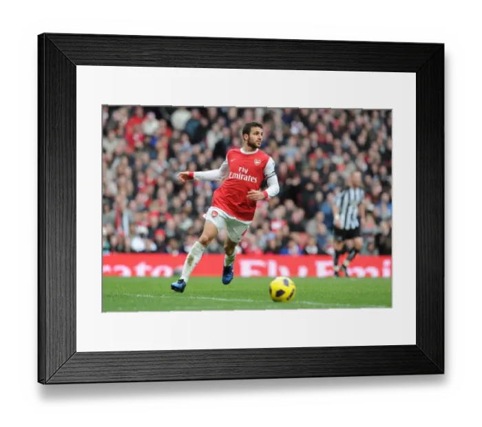 Framed Print : Cesc Fabregas's Goal Gives Newcastle United 1-0 Victory over Arsenal, Barclays Premier League, Emirates Stadium, 2010