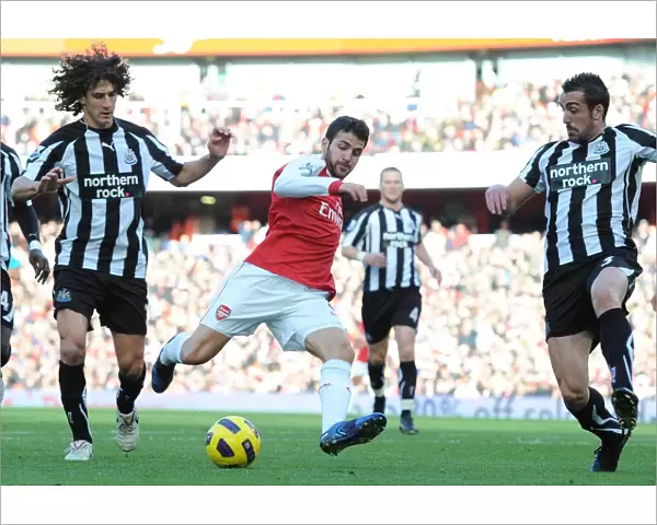 Cesc Fabregas (Arsenal) Fabricio Coloccini and Jose Enrique (Newcastle)