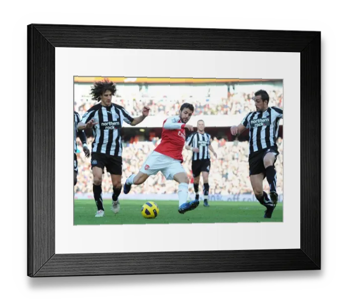 Framed Print : Cesc Fabregas (Arsenal) Fabricio Coloccini and Jose Enrique (Newcastle)