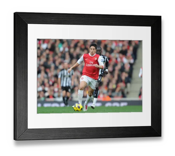 Framed Print : Samir Nasri (Arsenal). Arsenal 0: 1 Newcastle United, Barclays Premier League Framed Print : Samir Nasri (Arsenal). Arsenal 0: 1 Newcastle United, Barclays Premier League