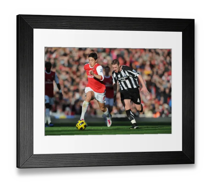 Framed Print : Samir Nasri (Arsenal) Kevin Nolan (Newcastle). Arsenal 0: 1 Newcastle United Framed Print : Samir Nasri (Arsenal) Kevin Nolan (Newcastle). Arsenal 0: 1 Newcastle United