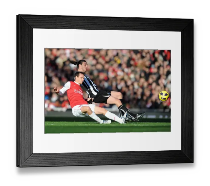 Framed Print : Sebastien Squillaci (Arsenal) Andy Carroll (Newcastle). Arsenal 0: 1 Newcastle United