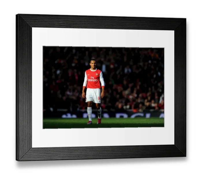 Framed Print : Theo Walcott's Goal Gives Newcastle United 1-0 Victory over Arsenal, Barclays Premier League, Emirates Stadium, London, 2010