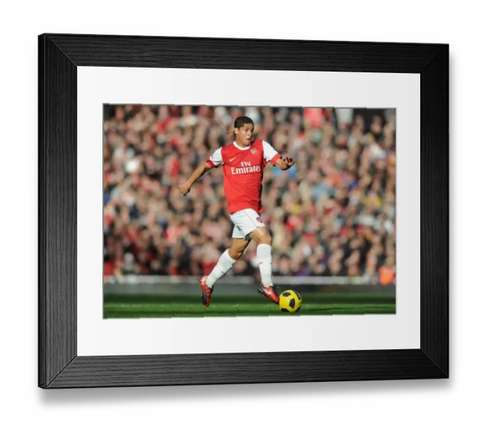 Framed Print : Denilson (Arsenal). Arsenal 1: 0 West Ham United, Barclays Premier League