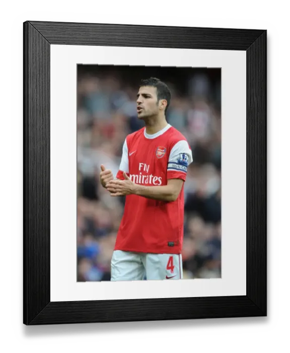 Framed Print : Cesc Fabregas Scores the Winner: Arsenal 1-0 West Ham United, Premier League 2010-11