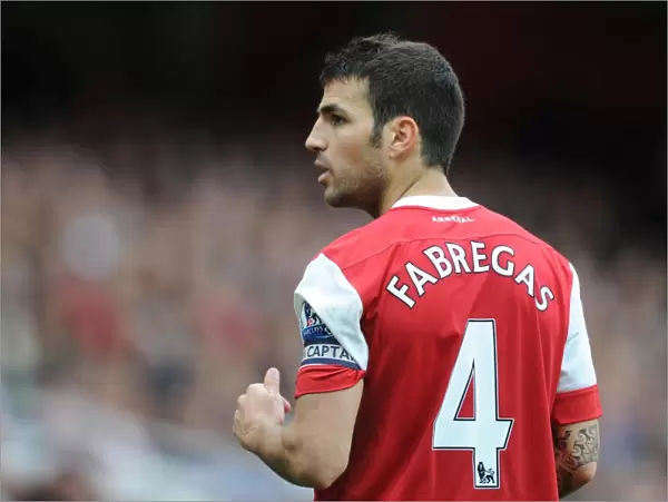 Arsenal's Cesc Fabregas Scores the Winner: Arsenal 1-0 West Ham United, Premier League 2010-11