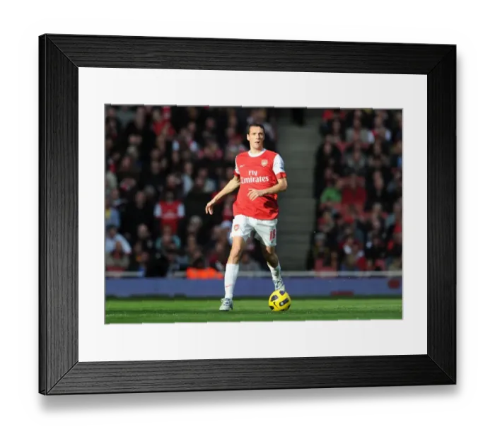 Framed Print : Arsenal's Sebastien Scuillaci Secures 1-0 Victory Over West Ham United at Emirates Stadium Framed Print : Arsenal's Sebastien Scuillaci Secures 1-0 Victory Over West Ham United at Emirates Stadium