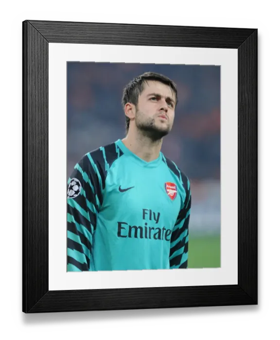 Framed Print : Lucasz Fabianski (Arsenal). Shakhtar Donetsk 2: 1 Arsenal, UEFA Champiojns League Framed Print : Lucasz Fabianski (Arsenal). Shakhtar Donetsk 2: 1 Arsenal, UEFA Champiojns League