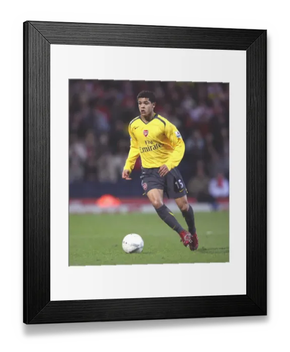 Framed Print : Denilson's Victory: Arsenal's 1:0 FA Cup Win Over Blackburn Rovers, 2007