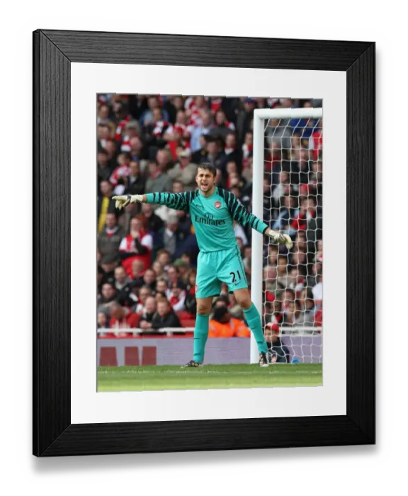 Framed Print : Lukasz Fabianski (Arsenal). Arsenal 1: 0 West Ham United. Barclays Premier League
