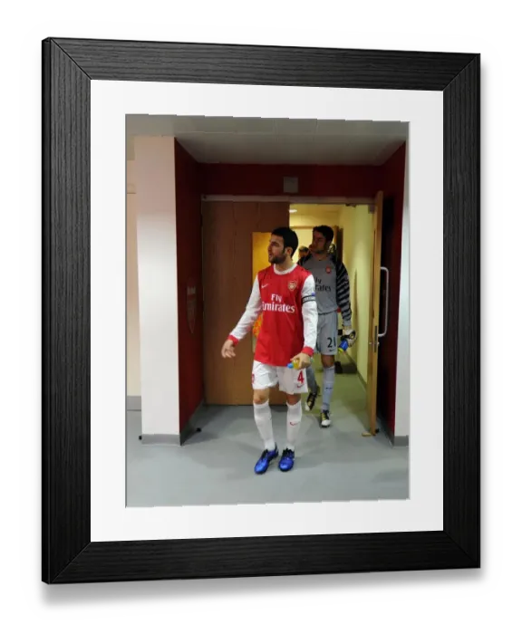 Framed Print : Cesc Fabregas Heartbreaker: Arsenal 0-1 Newcastle United, Barclays Premier League (2010-11)