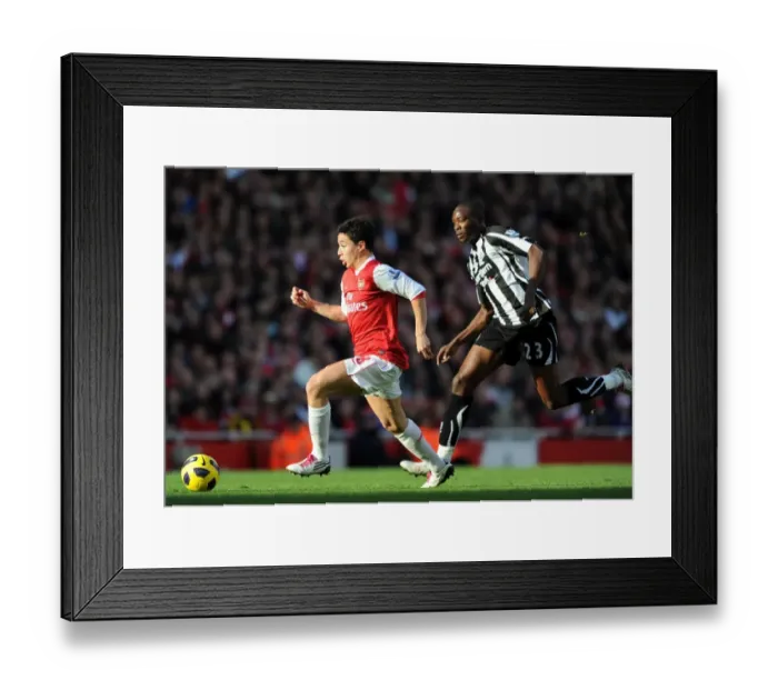 Framed Print : Samir Nasri (Arsenal) Shola Ameobi (Newcastle). Arsenal 0: 1 Newcastle United Framed Print : Samir Nasri (Arsenal) Shola Ameobi (Newcastle). Arsenal 0: 1 Newcastle United
