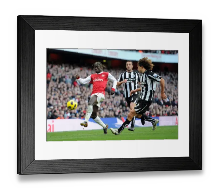 Framed Print : Bacary Sagna (Arsenal) Fabricio Coloccini (Newcastle). Arsenal 0: 1 Newcastle United Framed Print : Bacary Sagna (Arsenal) Fabricio Coloccini (Newcastle). Arsenal 0: 1 Newcastle United