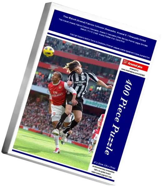 Theo Walcott (Arsenal) Fabricio Coloccini (Newcastle). Arsenal 0: 1 Newcastle United