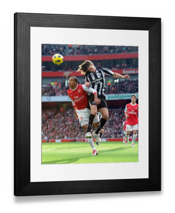 Framed Print : Theo Walcott (Arsenal) Fabricio Coloccini (Newcastle). Arsenal 0: 1 Newcastle United