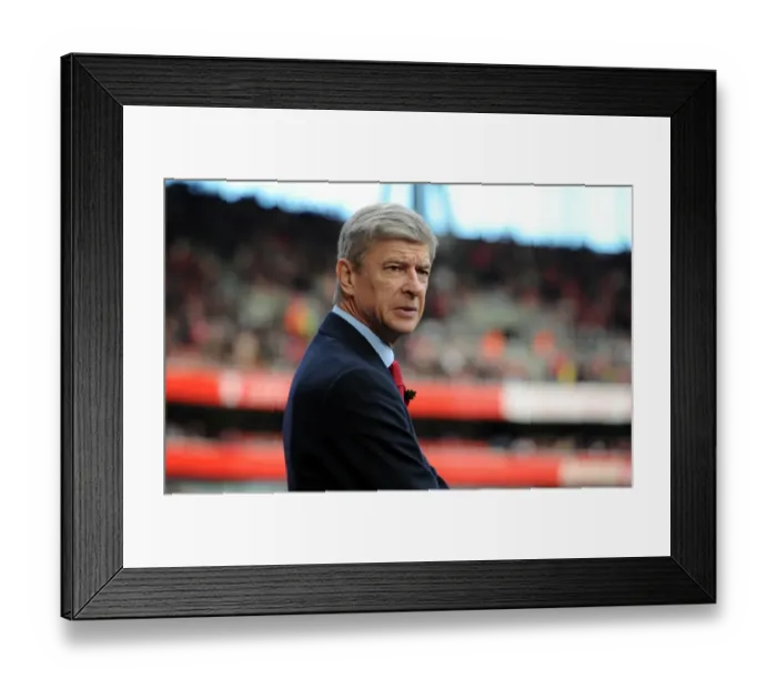 Framed Print : Arsene Wenger: Arsenal Manager in Defeat against Newcastle United, Barclays Premier League (Arsenal 0:1), Emirates Stadium, 7 / 11 / 10 Framed Print : Arsene Wenger: Arsenal Manager in Defeat against Newcastle United, Barclays Premier League (Arsenal 0:1), Emirates Stadium, 7 / 11 / 10