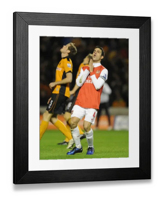 Framed Print : Cesc Fabregas (Arsenal). Wolverhampton Wanderers 0: 2 Arsenal, Barclays Premier League Framed Print : Cesc Fabregas (Arsenal). Wolverhampton Wanderers 0: 2 Arsenal, Barclays Premier League