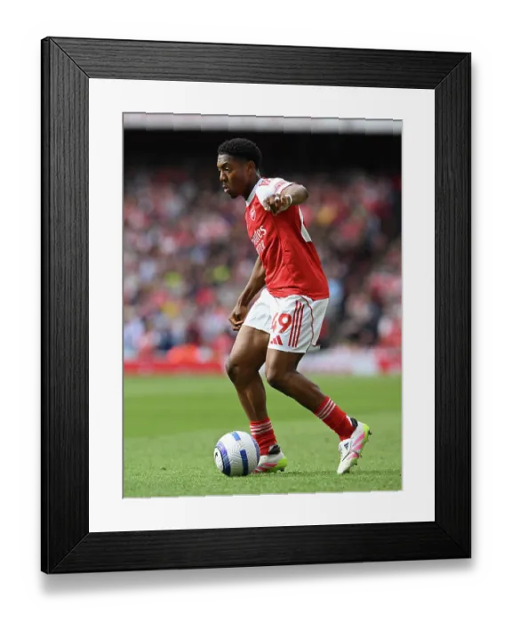 Framed Print : Arsenal FC v Newcastle United FC - Premier League