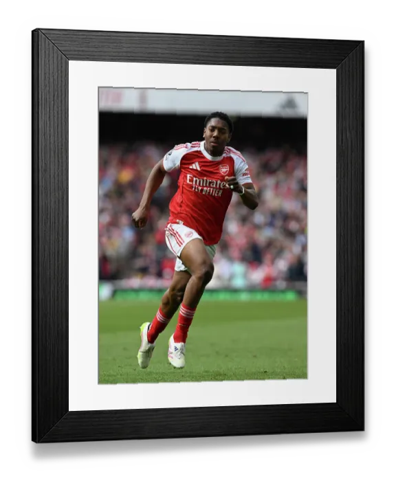 Framed Print : Arsenal FC v Newcastle United FC - Premier League Framed Print : Arsenal FC v Newcastle United FC - Premier League