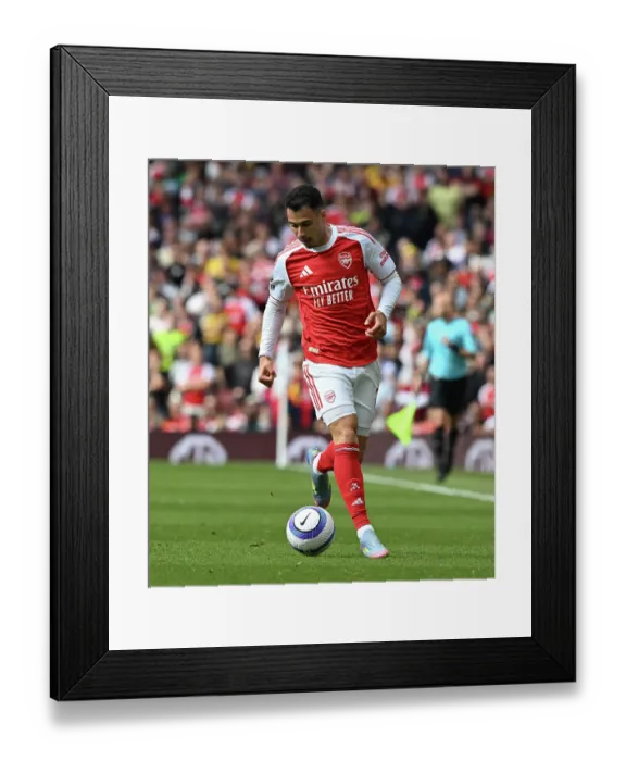 Framed Print : Arsenal FC v Newcastle United FC - Premier League Framed Print : Arsenal FC v Newcastle United FC - Premier League
