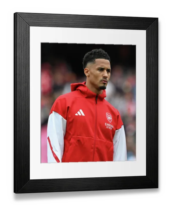Framed Print : Arsenal FC v Newcastle United FC - Premier League Framed Print : Arsenal FC v Newcastle United FC - Premier League
